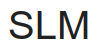 SLM