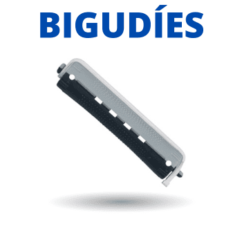 BIGOUDIS